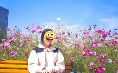 樱花免费真人直播软件